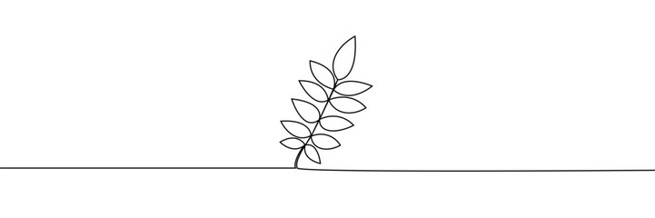 A simple black continuous line drawing of a rowan leaf , symbolizing nature, growth, and elegance in a minimalist and modern style. Vector illustration