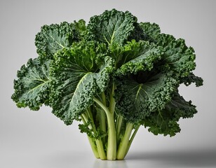 Fresh, vibrant kale with rich, deeply textured leaves on a neutral background.