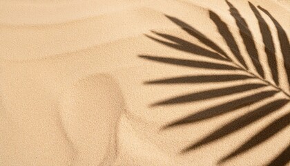 shadow palm leaf on sand texture for summer background top view beige beach sand with silhouette branches tropical tree leaf brown desert sandy texture pattern with nature shadow light ground sandy