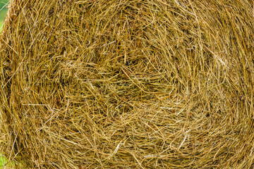 Bale of hay as background