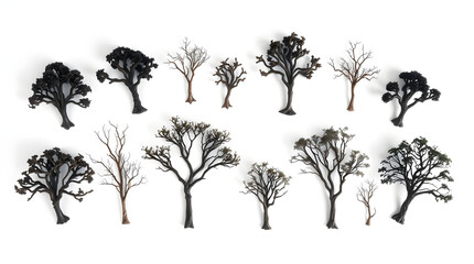 Obraz premium Collection tree isolate on white background