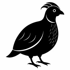Minimalist Quail Silhouette Illustration