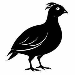 Minimalist Quail Silhouette Illustration