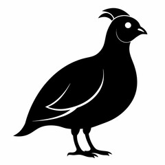 Minimalist Quail Silhouette Illustration