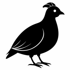 Minimalist Quail Silhouette Illustration