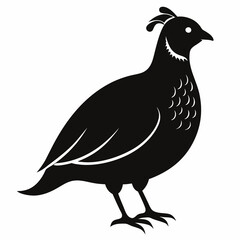 Minimalist Quail Silhouette Illustration