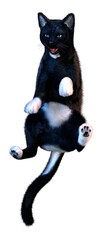 3D Rendering Black Cat on White