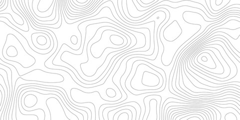 Abstract pattern with lines seamless pattern and topography map and counter map., geography map line, presentation white background. Use for template, wallpaper,, web vector illustration