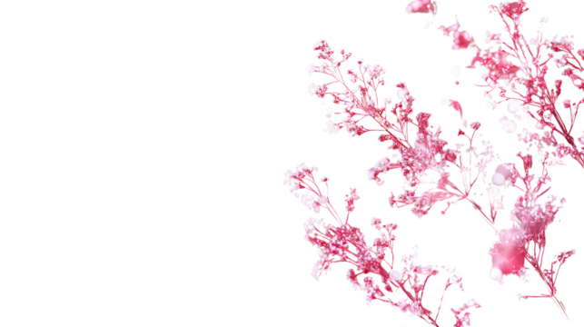 abstract watercolor background  isolated on white transparent background PNG