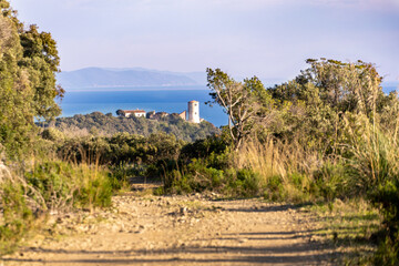 Italy Tuscany , Punta Ala Castiglione della Pescaia, Path Rio Palma Mountain Bike people trekking on Panoramic view of the Maremma coast north, cala Galera tower