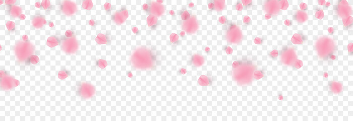 Vector falling petals png. Flying rose, sakura, or cherry blossom petals on a transparent background. Romantic background.