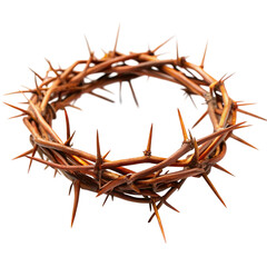 crown of thorns