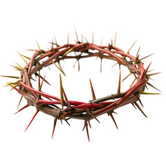 Obraz premium crown of thorns isolated on a transparent background