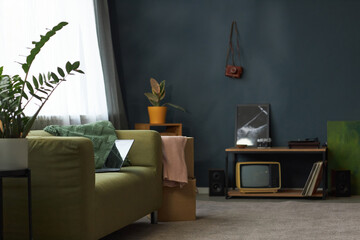 Comfortable living room featuring a green sofa, potted plants, and vintage television. Soft natural light illuminating room with a homely, relaxing vibe