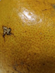 photo of local orange peel texture