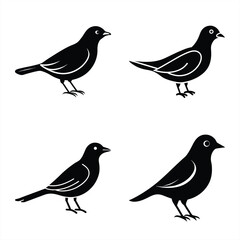 Graceful Lark Bird Icon  White Background Vector.