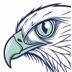 Eagle Head Profile Vector Illustration - Teal Eye, Detailed Line Art.