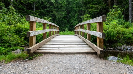 Tranquil Wooden Bridge Surrounded by Lush Greenery in a Peaceful Forest Setting