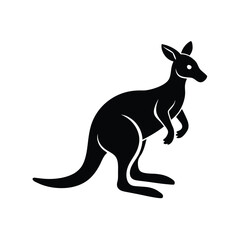 kangaroo vector illustration.