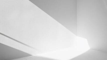 Fototapeta premium Empty white room with sunlight and shadows