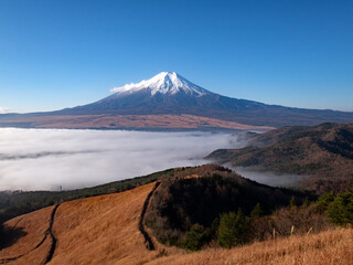 富士山と雲海