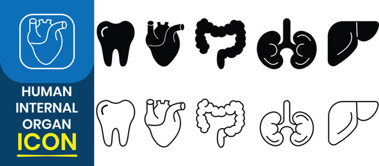 Human internal organs icons set. Human internal organ vector collection. Liver, tooth,  Heart, kidney, Urinary System, large intestine  and other anatomy parts. Vector Illustration.