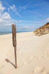 Withy at the beach of Kampen, Sylt