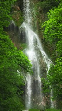 Tranquil high waterfalls in lush green forest. Nature footage of falls with water cascading down cliffs, vertical format 
