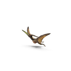 Pteranodon hand drawn illustration artwork © belton