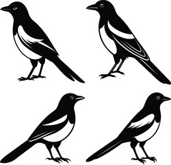 Stylized Magpie Silhouette Vector Ideal for Logos & Artwork.