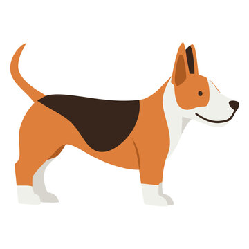 recommend clip art: Bull Terrier dogs illustration animal pet vector