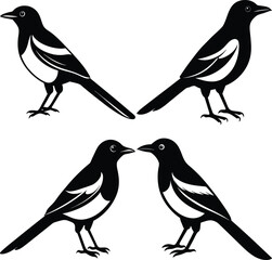 Stylized Magpie Silhouette Vector Ideal for Logos & Artwork.