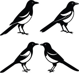 Stylized Magpie Silhouette Vector Ideal for Logos & Artwork.