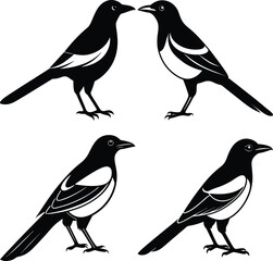 Stylized Magpie Silhouette Vector Ideal for Logos & Artwork.