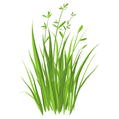 Green grass with tiny flower illustration plant art vector