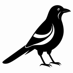 High-Quality Magpie Silhouette Vector Icon for Designers.
