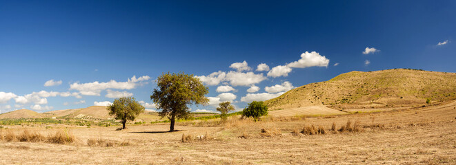 Sardegna, paesaggio di campagna semidesertico del sud, Italia, Europa occidentale 