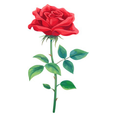 Naklejka premium Passionate red Rose rose illustration vibrant vector
