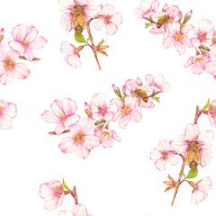 Seamless pattern of hand-drawn watercolor illustration of fruit tree blossom with bees on flowers. Theme of farming, spring, bees, apiary, honey. Ideal for seasonal holidays, wedding, children's theme