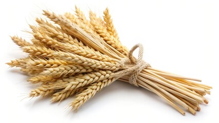 Wheat Sheaf on White Background