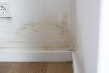 Image of mold and mildew growth on a wall corner, indicating water damage. Needs repair.