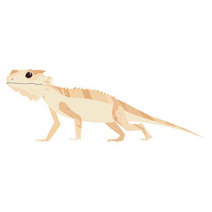 Fototapeta premium Bearded Dragon illustration minimalist reptile vector