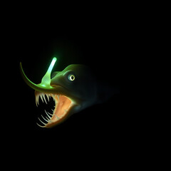 Deep sea anglerfish, bioluminescent lure