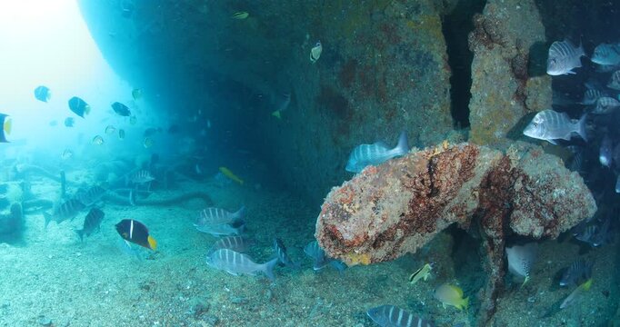 Remains of the Salvatierra Shipwreck Underwater in Baja California Sur