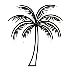 Obraz premium Palm tree illustration drawing black vector