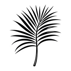 Palm leaf illustration black white vector
