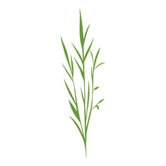 Fototapeta premium Flat vector of wild grass leaves leaf illustration vector