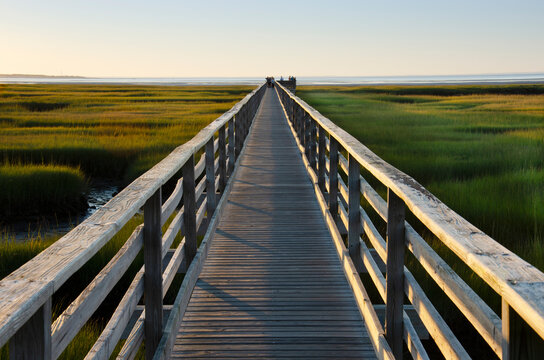 Empty boardwalk at Grays Beach