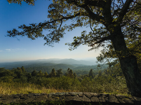 Trees and mountains with old stone wall in foreground