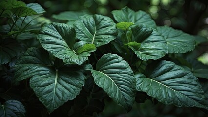"Abstract Tropical Leaf Texture - Vintage Green Nature Background for Wallpaper"